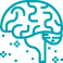 brain
